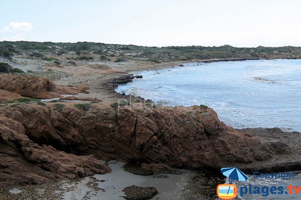 poseidonie della spiaggia Mucchiu Biancu