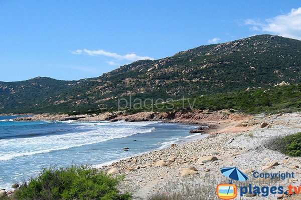 Mucchiu Biancu beach in Corsica