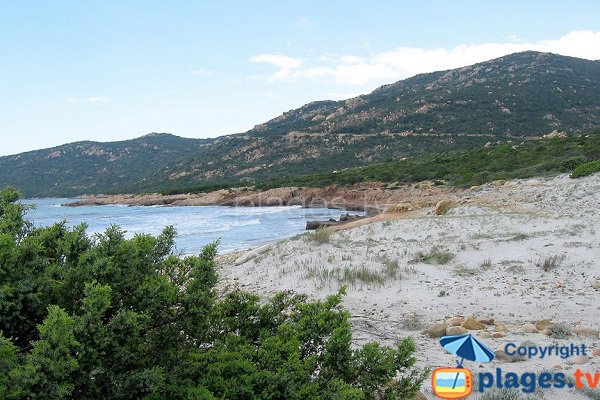 Photo de la plage de Mucchiu Biancu en Corse