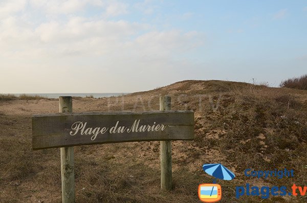 Foto della spiaggia del Murier a Notre Dame de Monts