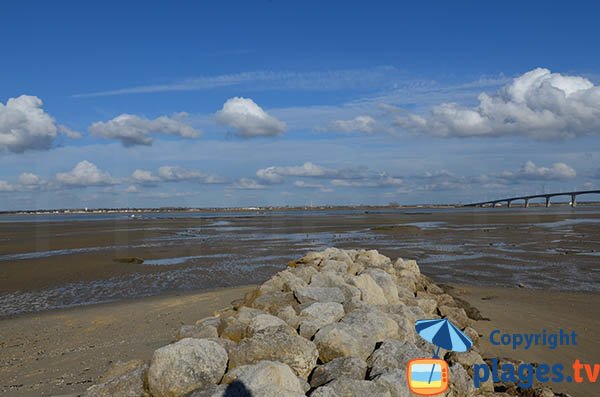 Plage du Mus de Loup à marée basse - La Tremblade