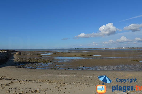 Plage au pied du port de la Seudre à La Tremblade