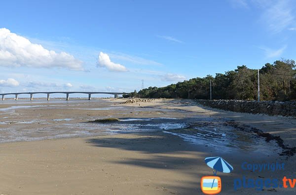 Photo de la plage du Mus de Loup à La Tremblade