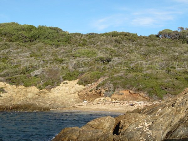 Crique du Muso à Porquerolles