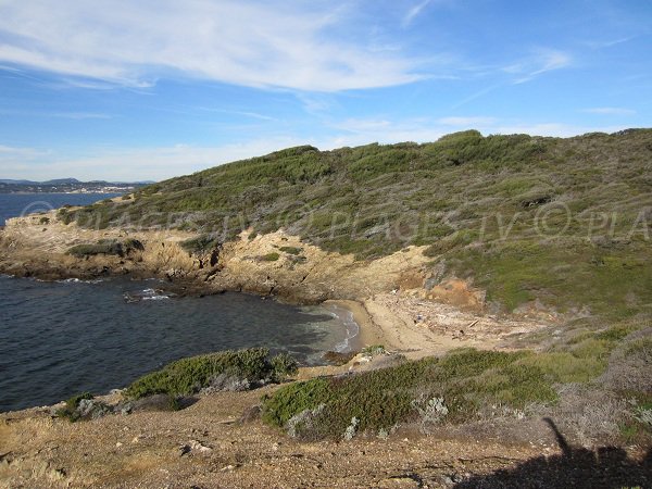 Spiaggia del Muso a Porquerolles