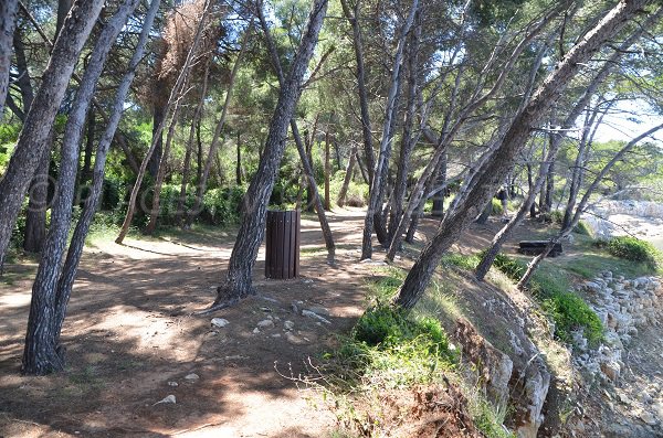 Access to Myrtes cove in Ste Marguerite island