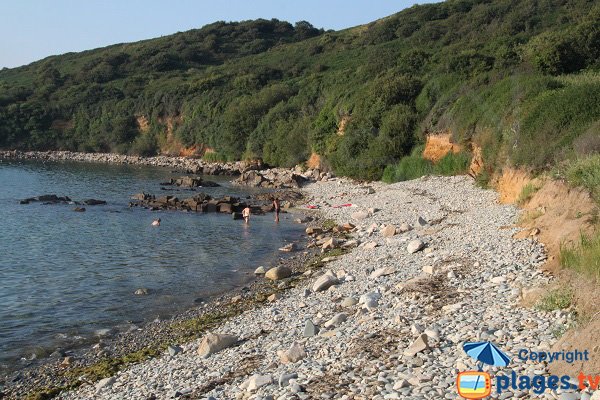 Crique de Nantouar à Louannec (côté Est)