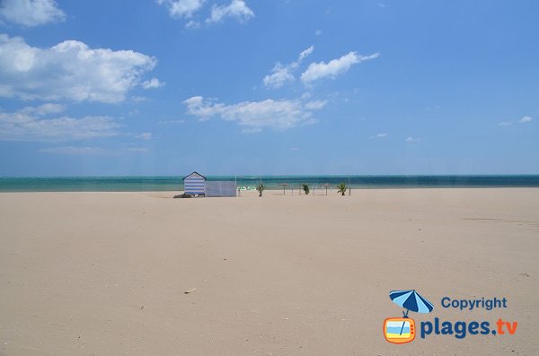 Spiaggia a Narbonne - Les Karantes