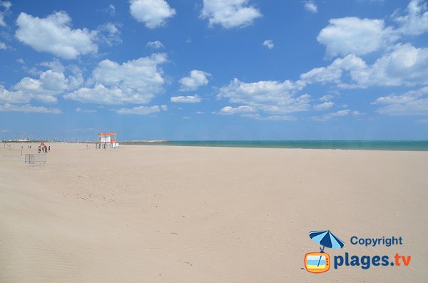 Spiaggia del Porto di Narbonne - Francia