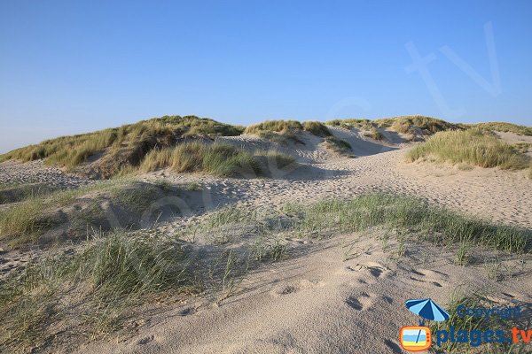 Dunes of the naturist beach in Berck sur Mer