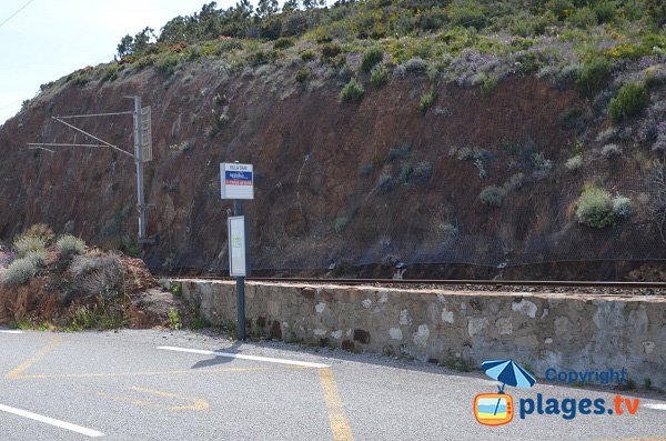 Punto di riferimento della spiaggia naturista di Cap Roux - Esterel