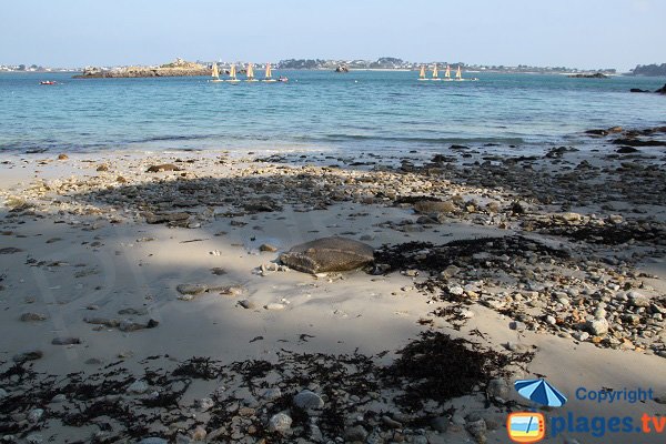 Pebbles on the beach of Roscoff - naturist