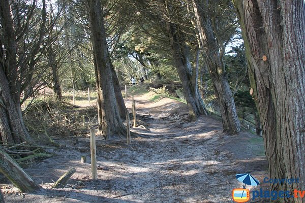 Access to naturist beach of Roscoff