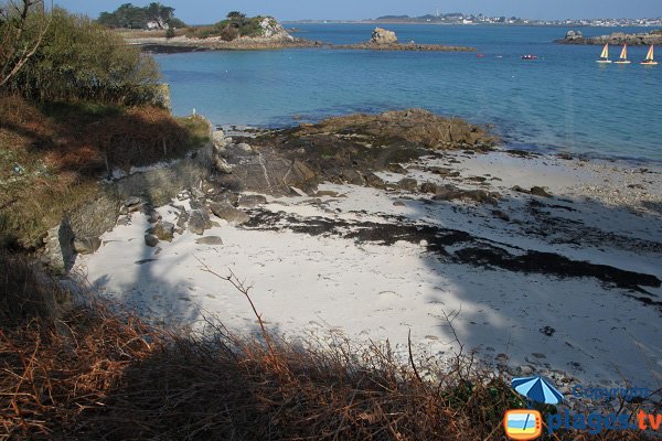 Plage naturiste à Roscoff