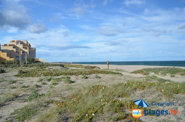 Photo de la plage naturiste de Port Leucate