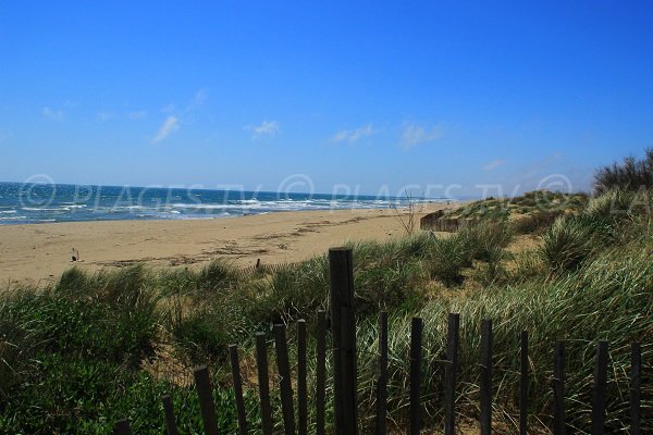 Vue de la plage naturiste de Sérignan en direction de Valras