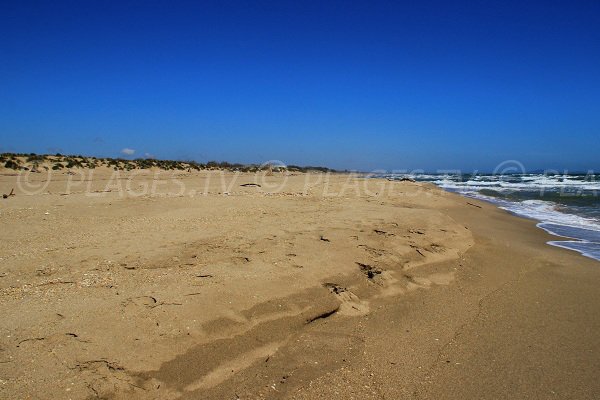 Grande plage de sable naturiste dans l'Hérault à Sérignan