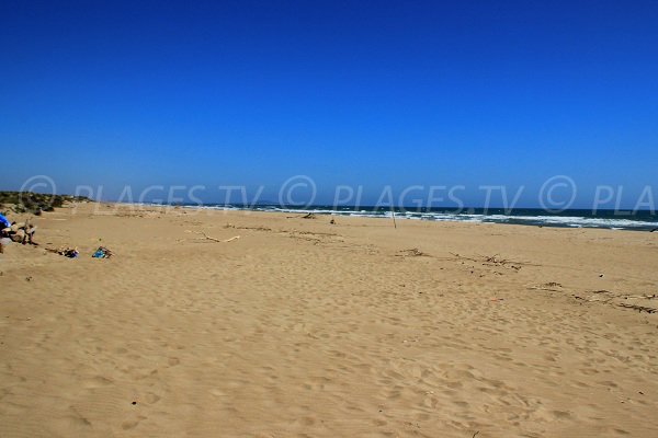 naturist beach with dunes in Sérignan