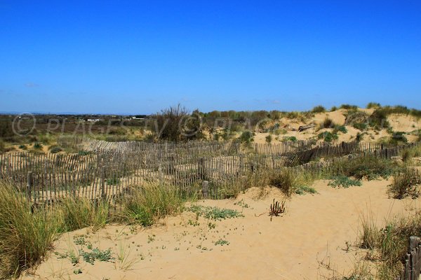 Environnement de la plage naturiste de Sérignan