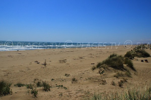 Nudist beach near Orpeillières beach in Sérignan