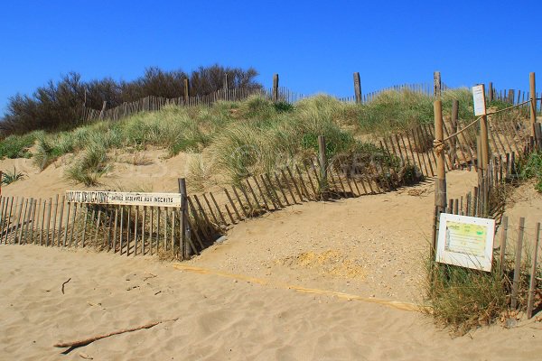 L'accesso al naturisti campeggi di Sérignan