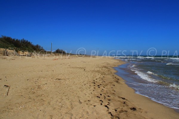 Naturist beach in Sérignan - France