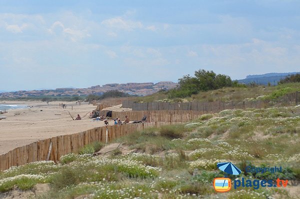 Photo de la plage naturiste de St Pierre sur Mer