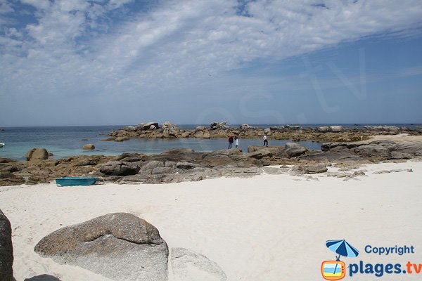 Balade en bord de mer à Kerlouan - presqu'île de Neiz Vran 