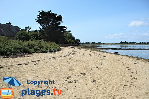 Plage de sable sur l'ile d'Arz - Nénézic