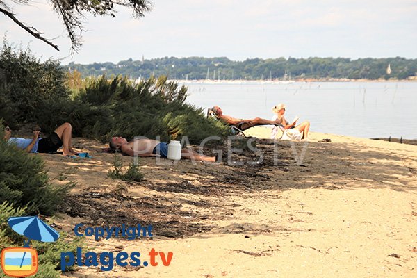 Vue sur Arradon depuis la plage de Nénézic - Arz