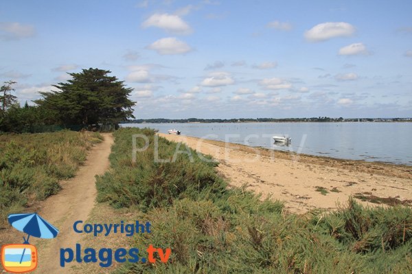 Large hidden beach on Arz island