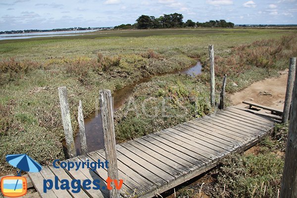 Path on Arz island