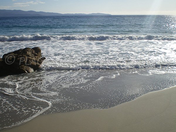 Plage privée en Corse, Ajaccio - Neptune