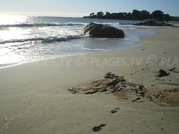 Vue sur les plages voisines à Ajaccio