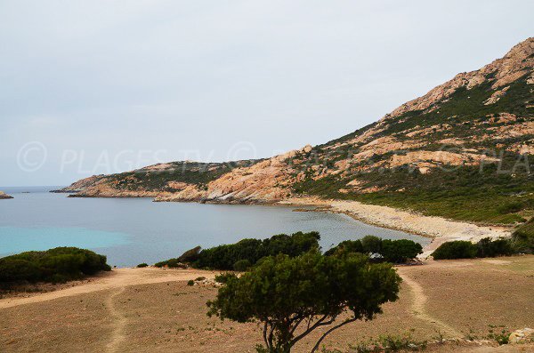 Baia di Nichiareto in Corsica - Calvi e Galéria