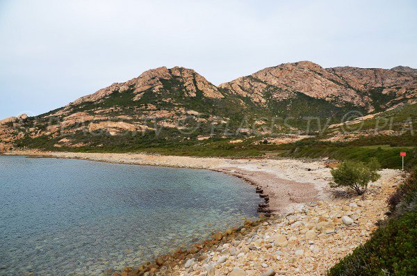 Photo de la plage de Nichiareto en Corse