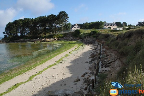 Dunes de l'anse de Port Olier - Guissény