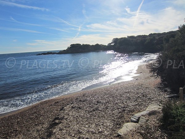 Plage Noire du Langoustier sur l'ile de Porquerolles