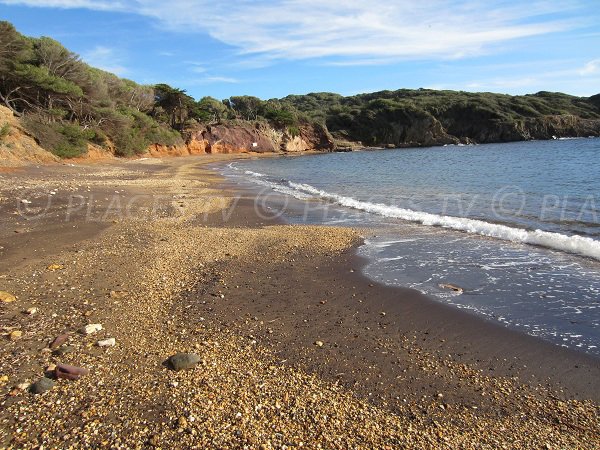 Plage Noire du Langoustier à Porquerolles