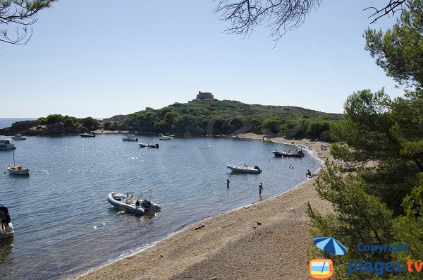 Spiaggia poco affollata a Porquerolles - Spiaggia Noire Grand Langoustier