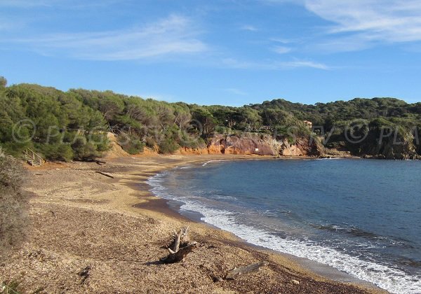 Wild beach near Fay harbor in Porquerolles