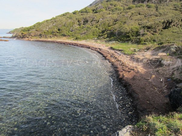 Plage avec des galets noirs à Porquerolles