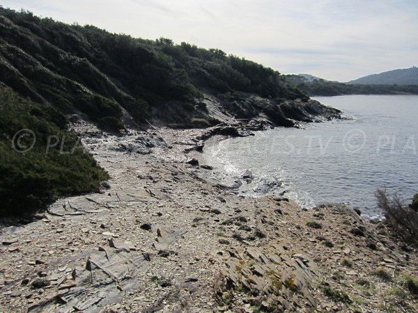 Black Medes beach on the island of Porquerolles