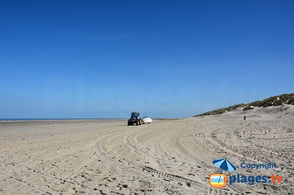 Dunes sur la plages nord de Fort Mahon