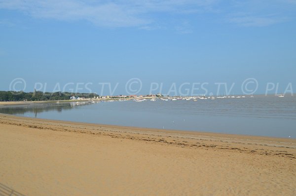 Beach in Fouras where you can practice fishing on foot at low tide
