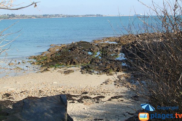 Plage ombragée à St Pol de Léon