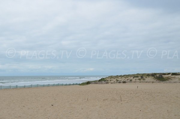 Wild beach in Montalivet les Bains