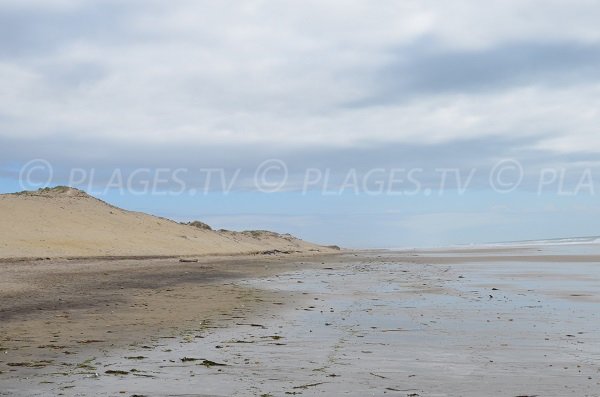 Dunes in Montalivet les Bains - France