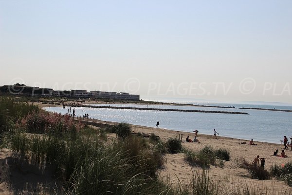 Spiaggia Nord e vista su Port Camargue