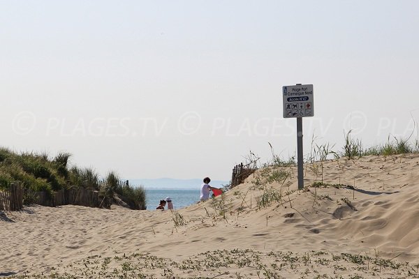 Accès à la plage Nord de Port Camargue